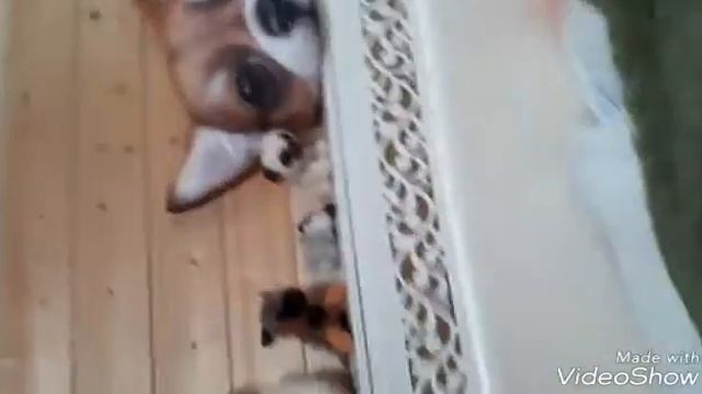 Рум тур по дачной комнате.? смотреть онлайн