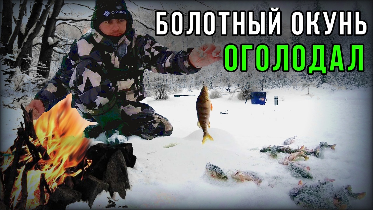 Озеро в болоте с голодным окунем.Рыбалка на блесну.Жарим сало на костре. смотреть онлайн