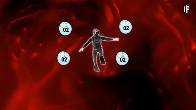 ?КИТ СІЗДІ ЖҰТЫП ҚОЙСА НЕ БОЛАДЫ? #кит #қазақша #ужас смотреть онлайн