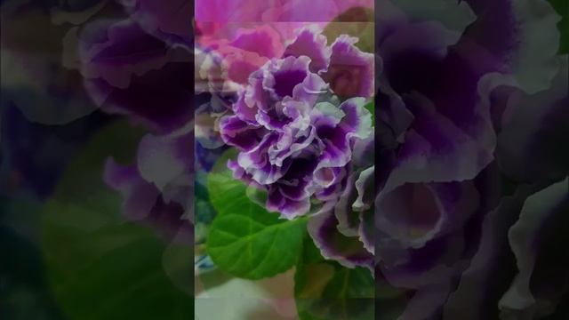 Когда за окном еще падает снег и рано темнеет, так хочется просто сбежать в лето. ? смотреть онлайн