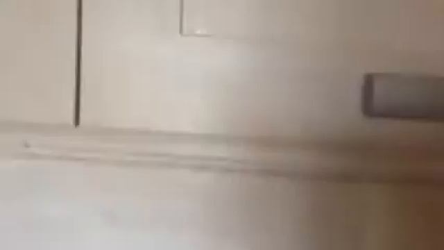 Опять ДАЧА/МОЕ УТРО/КОШКА ВЕЗДЕ!!!! смотреть онлайн