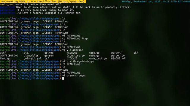Documenting PEGN v1.0.0 Specification (https://pegn.dev) смотреть онлайн