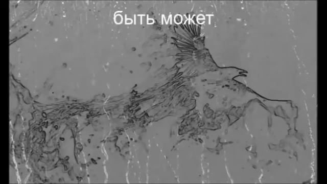 Белая ворона смотреть онлайн