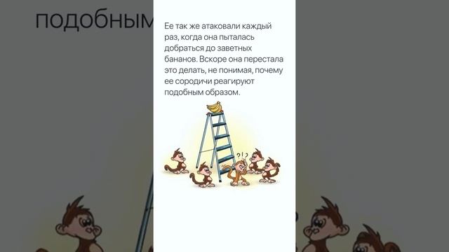Как легко загнать человека в рамки смотреть онлайн