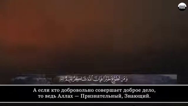 Коран сура 2 "Аль-Бакара" аяты 154-163 смотреть онлайн