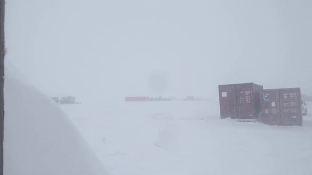 Антарктическое лето * смотреть онлайн