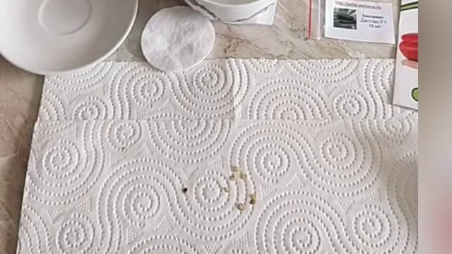 Сею семена перцев и баклажан ? только так! смотреть онлайн