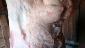 Забой барана