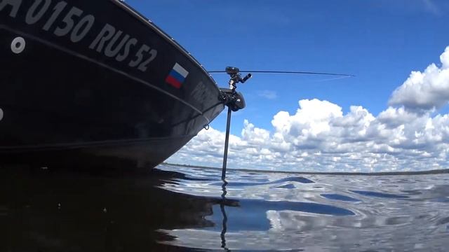 Аквабкс ,купиние ,финвал смотреть онлайн