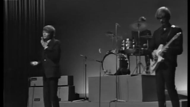 Herman's Hermits - Wonderful World + Stage collapse (1966, Finland) смотреть онлайн
