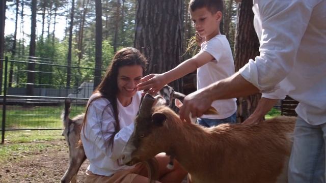 Экопарк Чкаловские Дачи Новосибирск смотреть онлайн