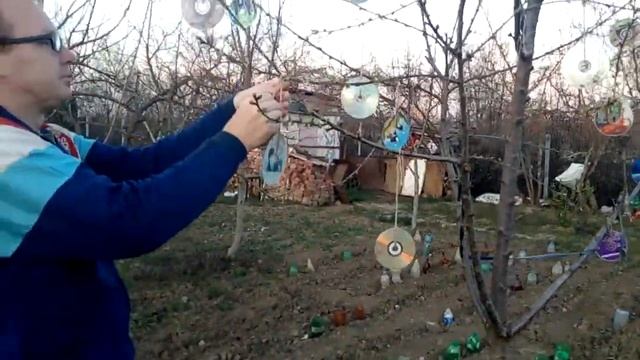 Как отпугивать птиц от деревьев из дисков 6 04 2019 смотреть онлайн