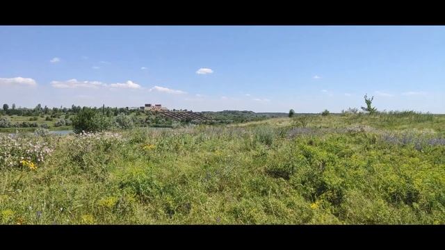 Скелеты ушедшей эпохи. Долинская. смотреть онлайн