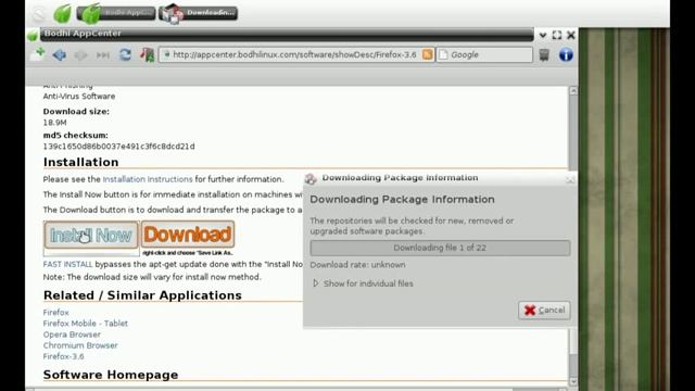 Bodhi_Linux_App_Center_-_How_to_install_Firefox_-_Chromium_- смотреть онлайн