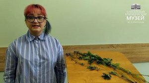 Герань луговая