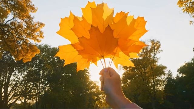 Будет ли.....света путь смотреть онлайн