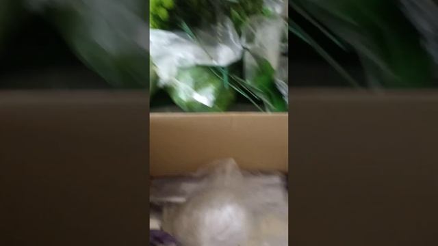 распаковка посылки от группы в контакте GLORl fopm смотреть онлайн