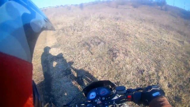 покатушка Racer Panther 250 смотреть онлайн