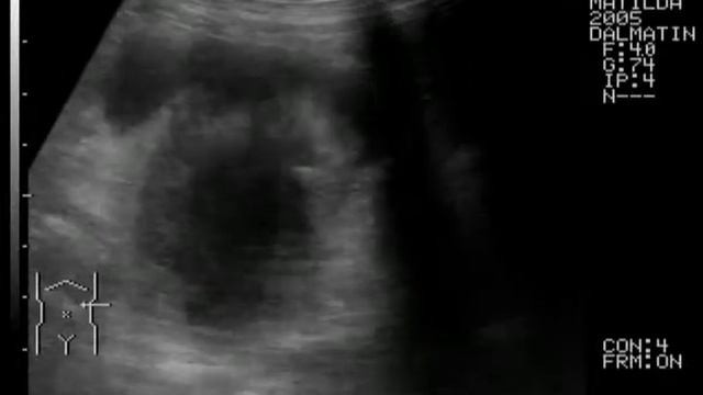 2011.10.11 - с.Матильда далматин 6 лет смотреть онлайн