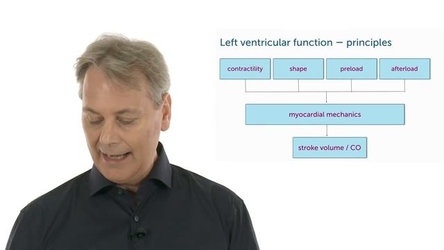 Heart Chamber Quantification MasterClass - Your introduction смотреть онлайн