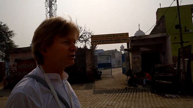 Индия, Вриндаванские свиньи смотреть онлайн