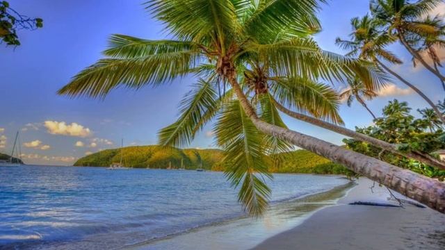 Маха мантра Шрилы Прабхупады смотреть онлайн