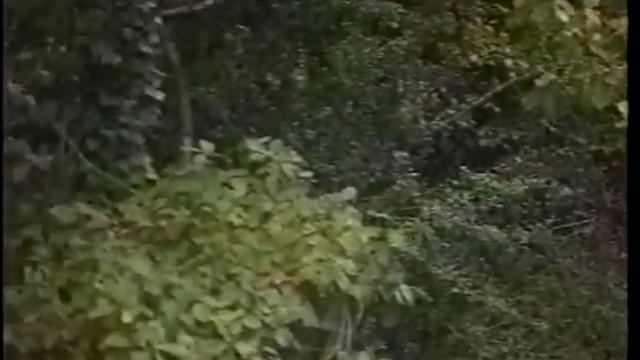 Latvala Rally Catalunya 2004 Suzuki Ignis Super 1600 смотреть онлайн