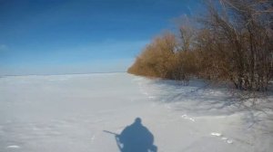 Охота на зайца зимой 2019, много зайца, много стрельбы!!!