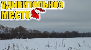 Удивительные находки в заброшенной  деревне .Я такого точно не ожидал.Коп старины с металлоискателем