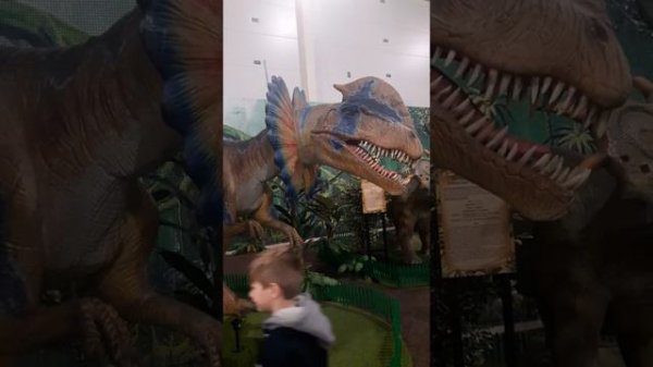 Динопарк в ТРЦ Лавина/Dino Park, lavina Mall