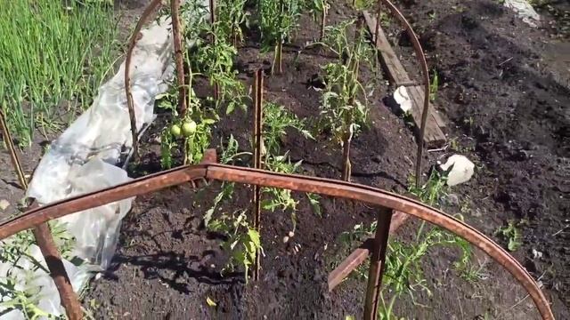 Купили дачуПродолжаем наводить порядок10тонн пескуВремя сарая пришло ?