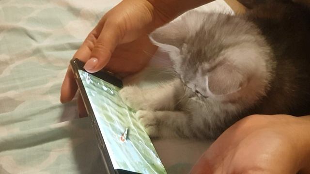 Юки смотреть онлайн