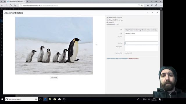 Upload an image to WordPress смотреть онлайн