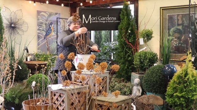 Pruning Hydrangea Spring Garden Seminar смотреть онлайн