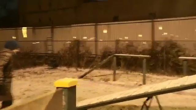 Айрус. Практически служебный пес..) смотреть онлайн