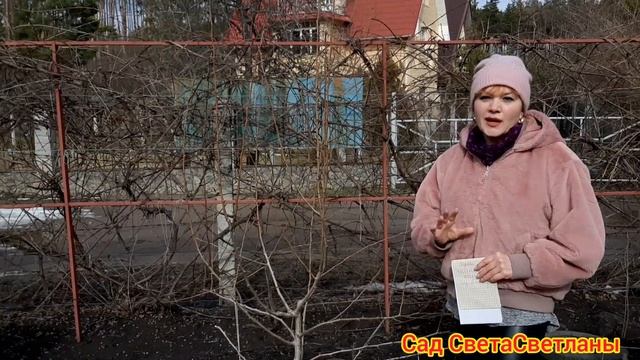 Красивый Сад и Плодовый Сад.Мои ошибки.Практические Советы для начинающих садоводов.Посадка деревье смотреть онлайн