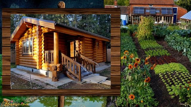 14 июня международный банный день смотреть онлайн