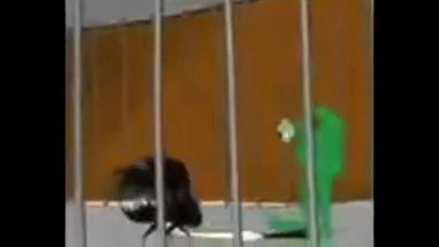 Iverology - Кафедра Иверологии