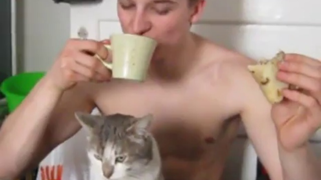 Голодный кот 