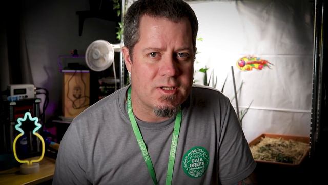 PAR Meter not required - use this simple hack and save hundreds! смотреть онлайн