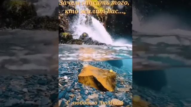притча зачем спасать того кто жалит вас.mp4