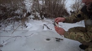 ЛОВЛЯ ОКУНЯ ЗИМОЙ на силикон или Ice ul- что это такое!