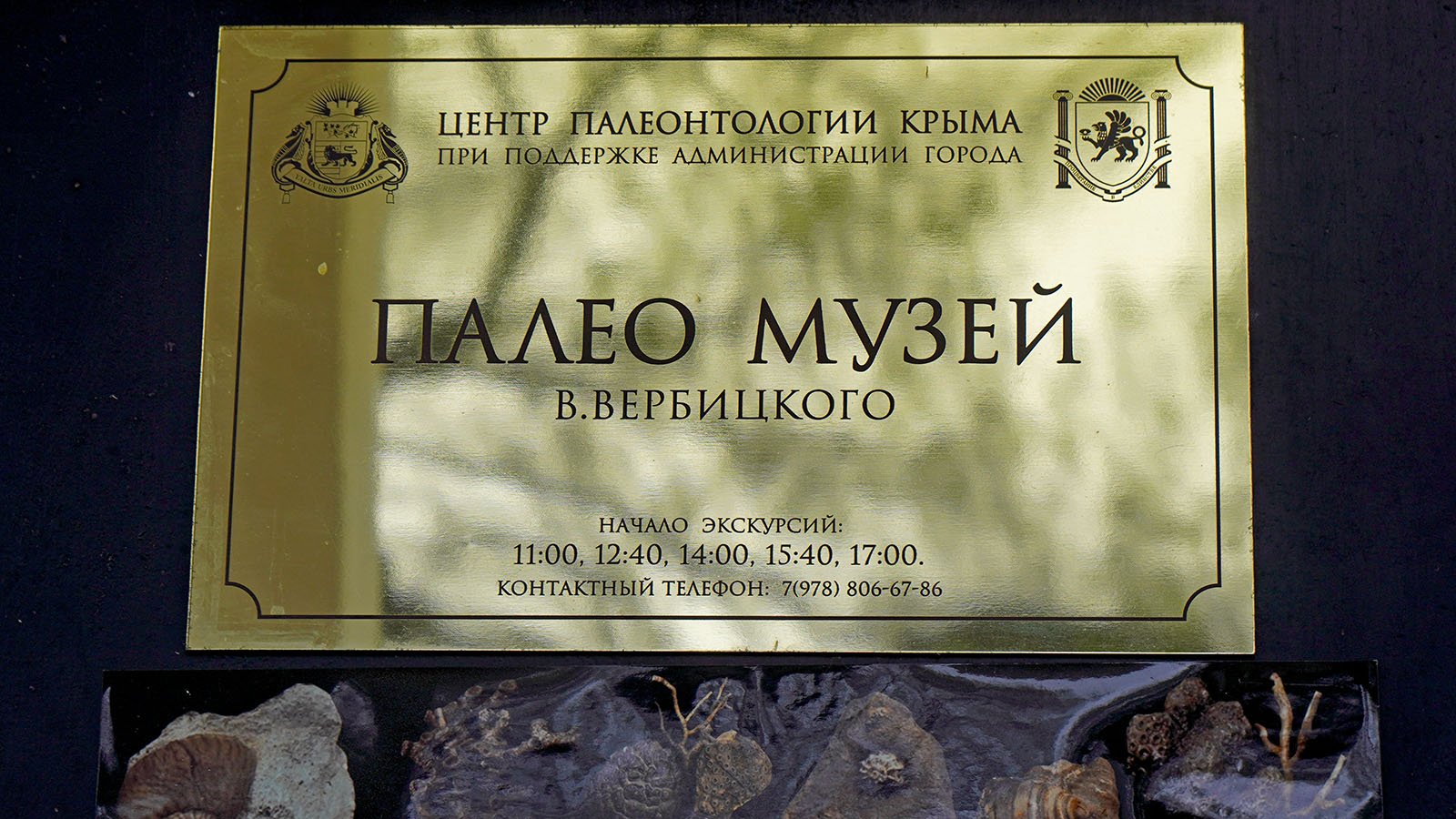 Палеонтологический музей в Ливадии ч.II смотреть онлайн