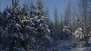 Белый снег пушистый. И.З. Суриков