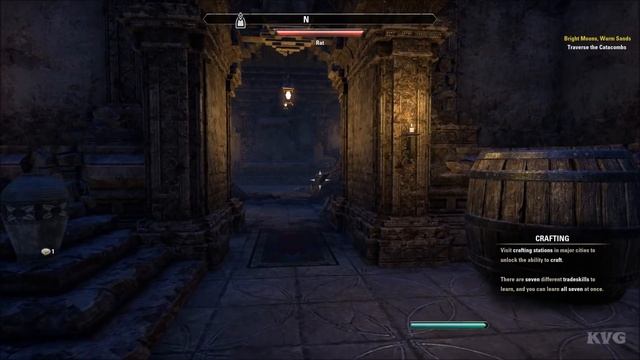 The Elder Scrolls Online - Elsweyr Gameplay (PC HD) [1080p60FPS]