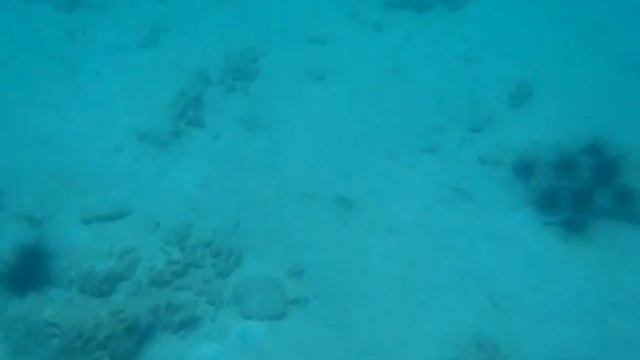 Под водой. Тайланд 2012 смотреть онлайн