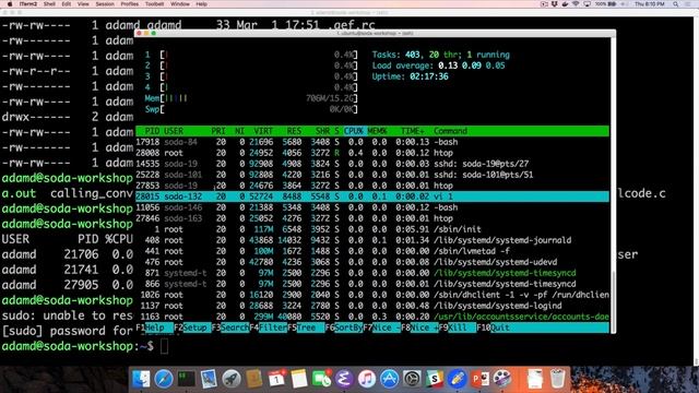 "The Secret Lives of Binaries": Buffer Overflow Workshop with SoDA смотреть онлайн