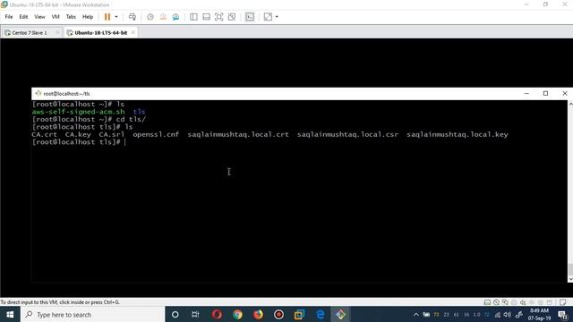 Master HTTPS on Localhost IP 127.0.0.1: Comprehensive Guide for Web Developers #devsecops #tls смотреть онлайн
