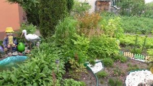 Ландшафтный дизайн садового участка. Красивый дачный участок моих друзей.