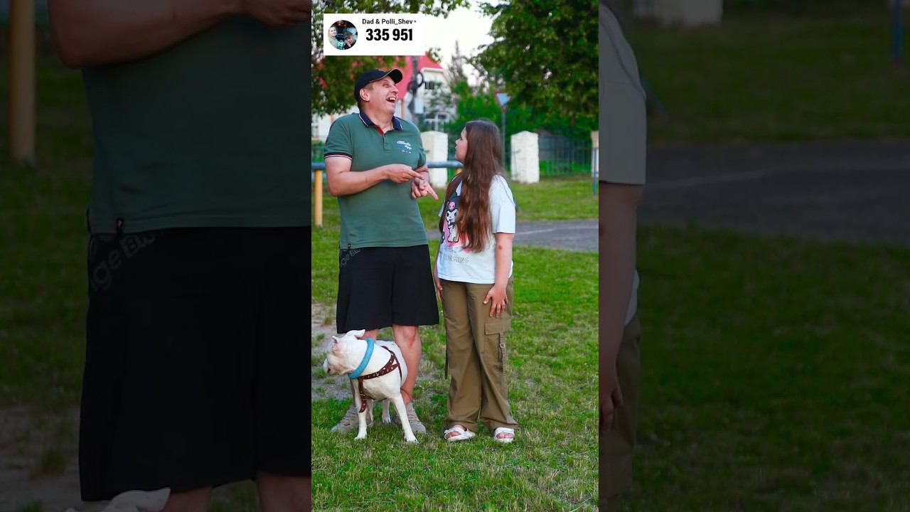 did you notice where the dog looked смотреть онлайн